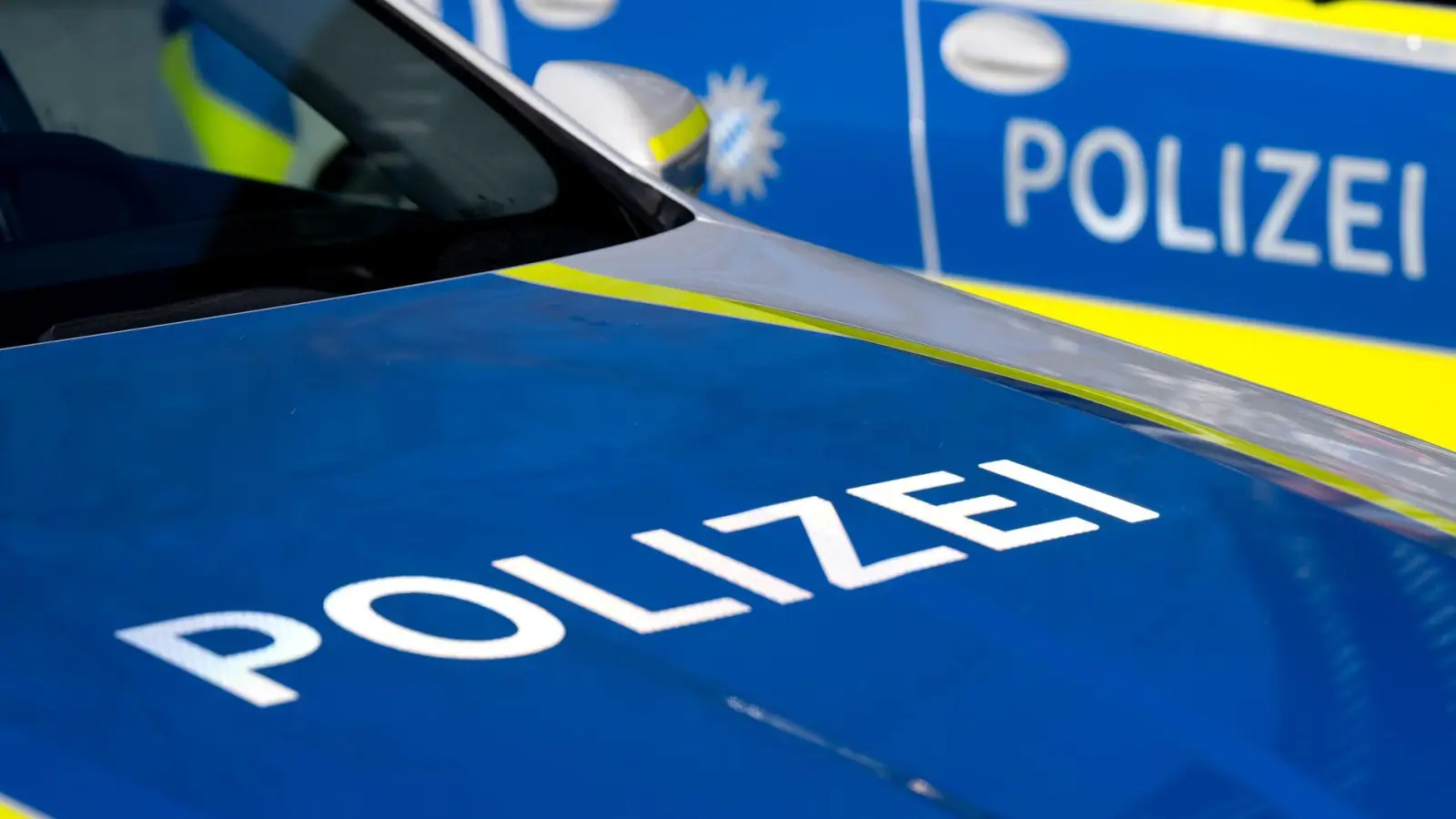 Die Polizisten fanden heraus, dass dem Mann die Fahrerlaubnis bereits vor rund zehn Jahren entzogen worden war. (Symbolbild) (Foto: Sven Hoppe/dpa)