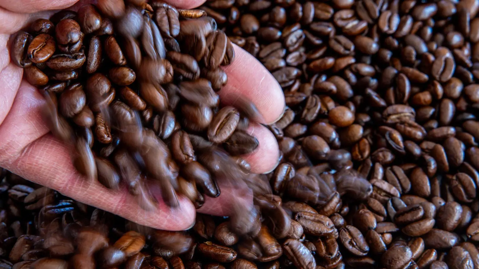Kaffee hat sich in Deutschland stark verteuert (Archivbild) (Foto: Jens Büttner/dpa)