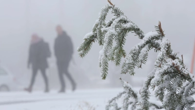 In den Mittelgebirgen wie dem Harz wird am Mittwoch Neuschnee erwartet. (Foto: Matthias Bein/dpa)