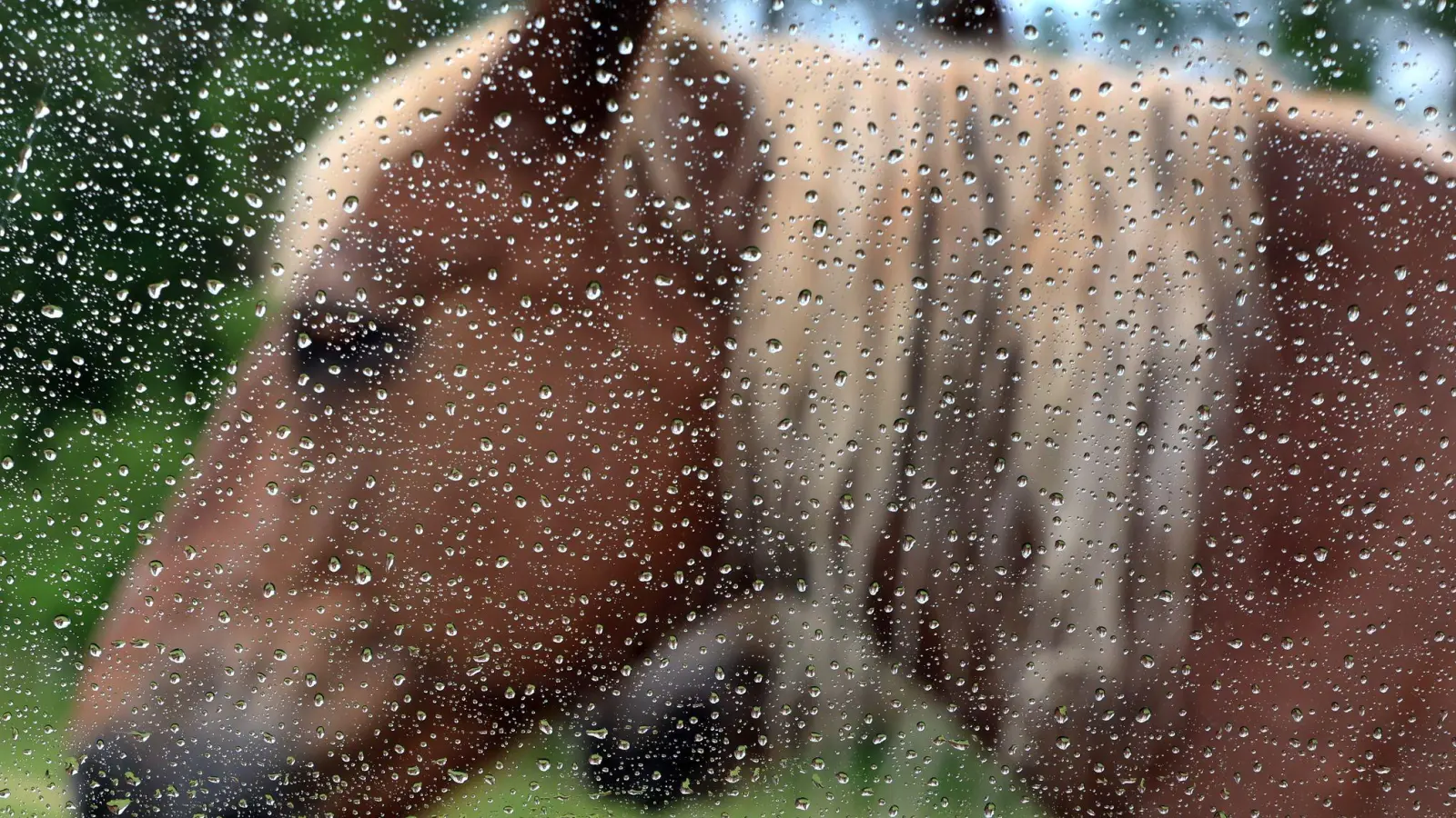 Es wird ungemütlich in Teilen Bayerns. (Foto: Karl-Josef Hildenbrand/dpa)