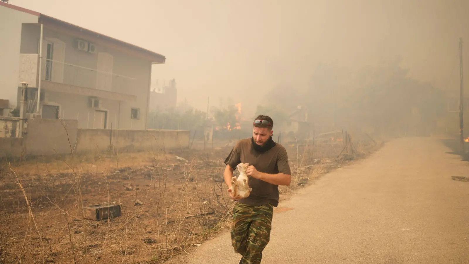 Ein junger Mann rettet eine kleine Katze vor den Flammen. (Foto: Thanassis Stavrakis/AP/dpa)