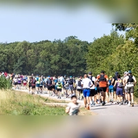 Zahlreiche Aktive machten sich auf die Strecke und genossen auch die schöne Landschaft. (Foto: Max Ohr)