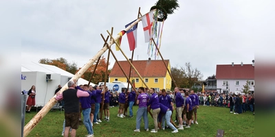 Aufstellen des Kerwabaums auf der Gänswosn-Kerwa in Aurach. (Foto: Werner Wenk)
