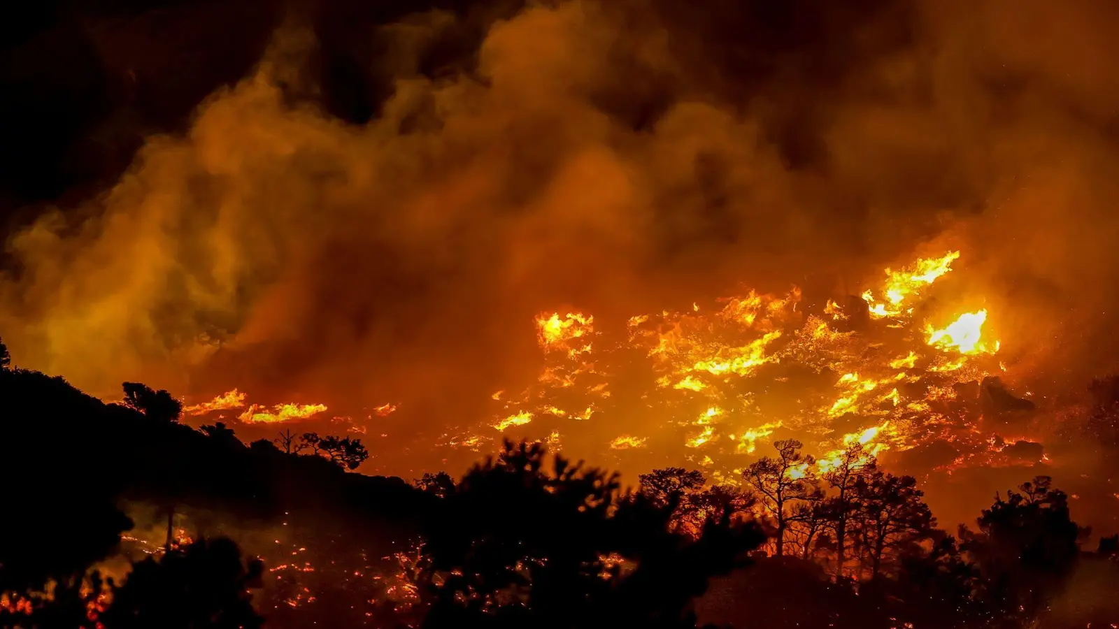 Wegen starker Winde breiteten sich die Flammen rasch aus. (Foto: STR/INTIME NEWS/AP/dpa)