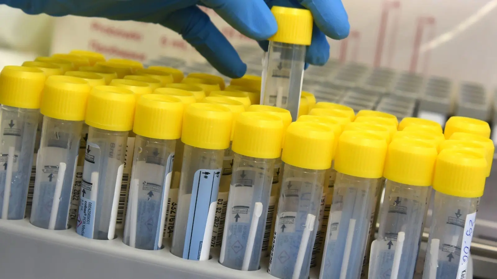 Eine medizinisch technische Assistentin bereitet in einem Labor die Bearbeitung von PCR-Tests vor. (Foto: Waltraud Grubitzsch/dpa-Zentralbild/dpa)