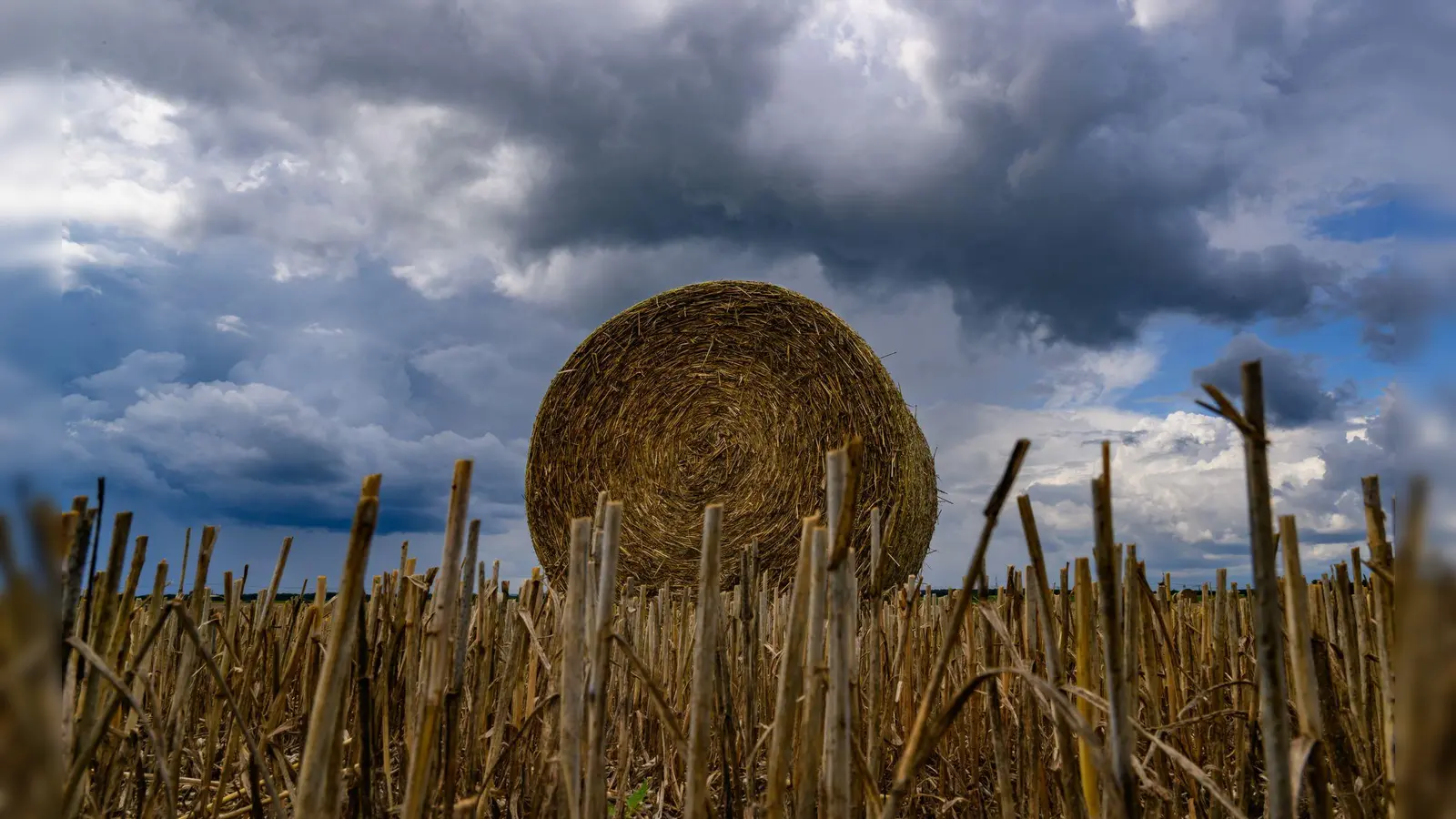 Volle Rolle: Eine Strohrolle liegt unter dunklen Wolken auf einem Feld im Landkreis Oder-Spree in Brandenburg. (Foto: Patrick Pleul/dpa)