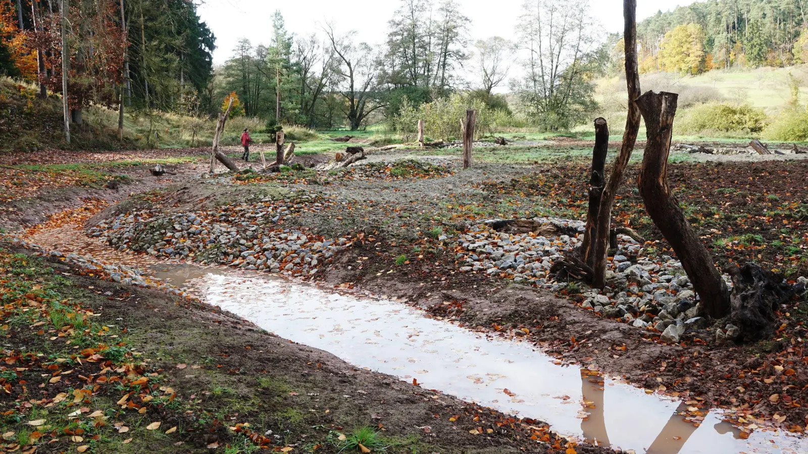 Die drei Gemeinden Markt Erlbach, Emskirchen und Hagenbüchach haben an der Aurach beim Erlbacher Ortsteil Holzmühle eine 1,55 Hektar große Ökoausgleichsfläche gestalten lassen. Bei einer kleinen Feierstunde stellte Markt Erlbachs Bürgermeisterin Dr. Birgit Kreß die lange Entwicklungszeit in den Mittelpunkt ihrer Rede.  (Foto: Heinz Wraneschitz)