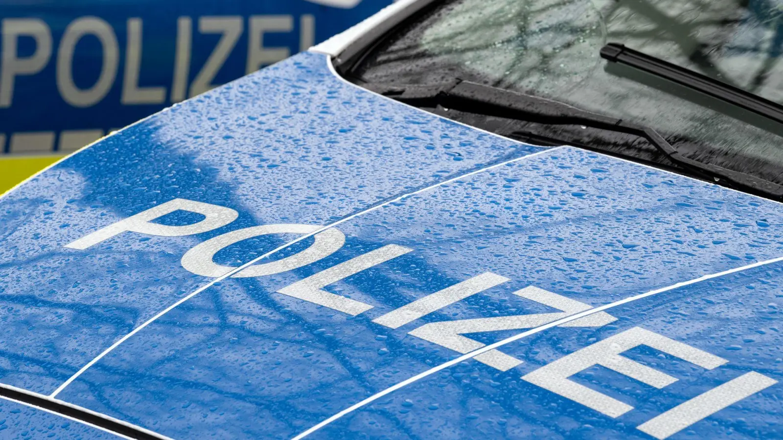  Ein Motorradfahrer verunfallt tödlich (Symbolbild).  (Foto: Soeren Stache/dpa)