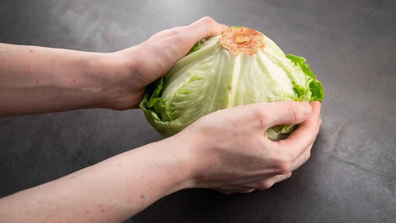 Kein mühsames Schneiden: Ein einfacher Trick soll das Putzen von Kopfsalat erleichtern. (Foto: Christin Klose/dpa-tmn)