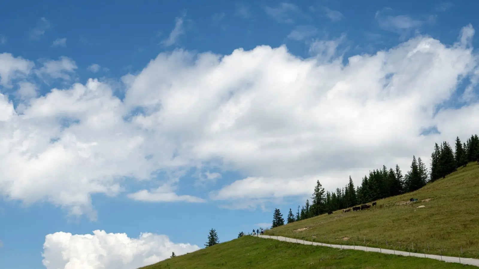 Wanderer aufgepasst: Die Bergtour sollte nachmittags zu Ende sein - denn dann drohen Gewitter. (Archivbild) (Foto: Stefan Puchner/dpa)