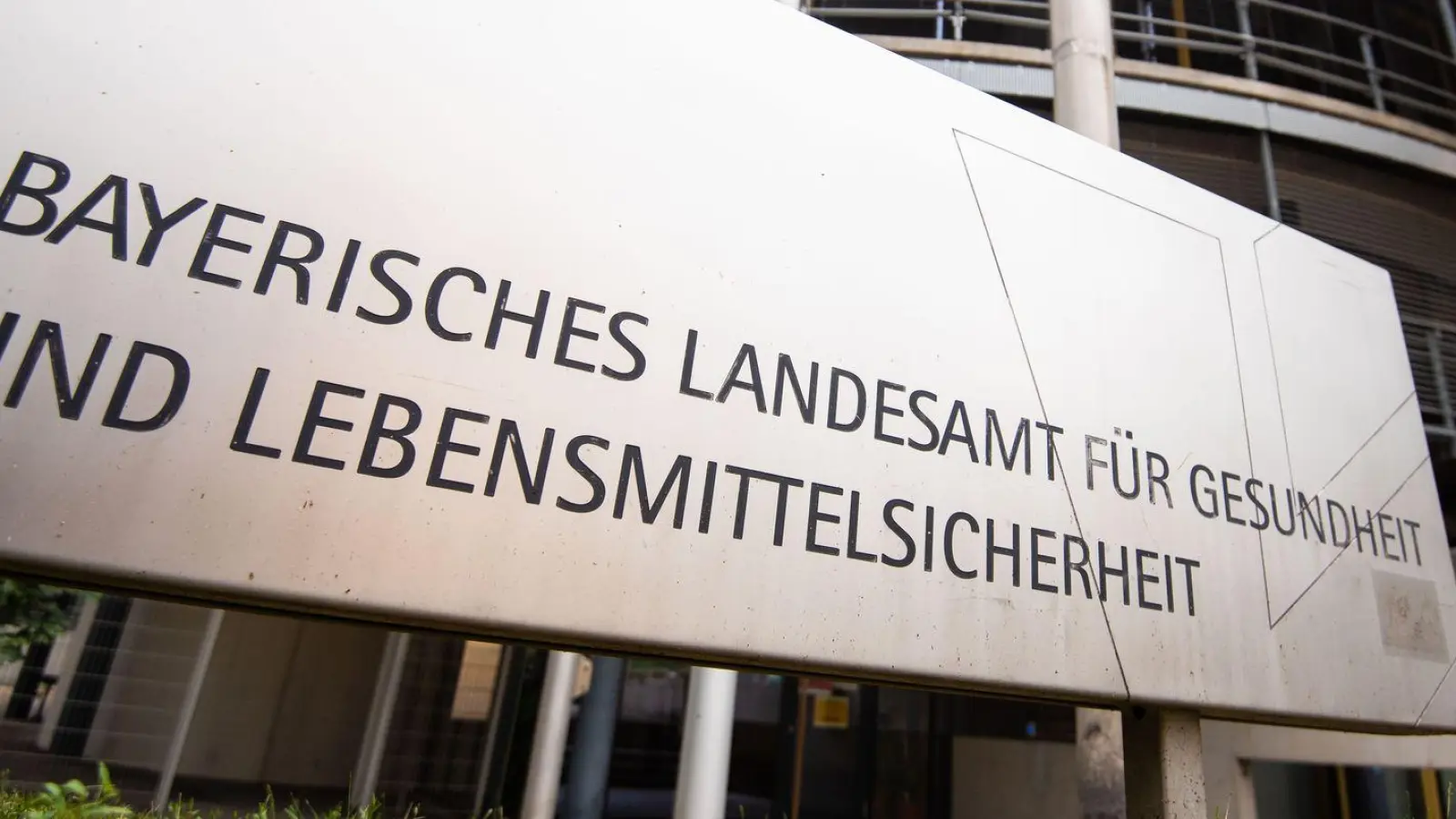 Das Landesamt für Gesundheit und Lebensmittelsicherheit warnt vor dem Kontakt mit Spitzmäusen. (Symbolbild) (Foto: Nicolas Armer/dpa)