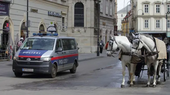 Ein Polizeiwagen neben einem Fiaker vor dem Wiener Stephansdom. (Foto: Heinz-Peter Bader/AP/dpa)