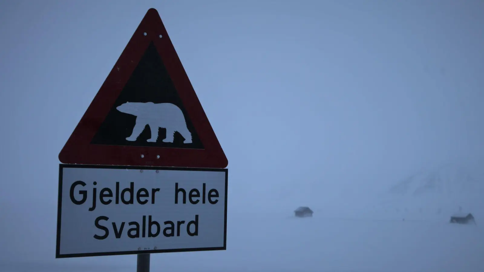 Ein Schild warnt auf Spitzbergen vor Eisbären. (Symbolbild) (Foto: Steffen Trumpf/dpa)