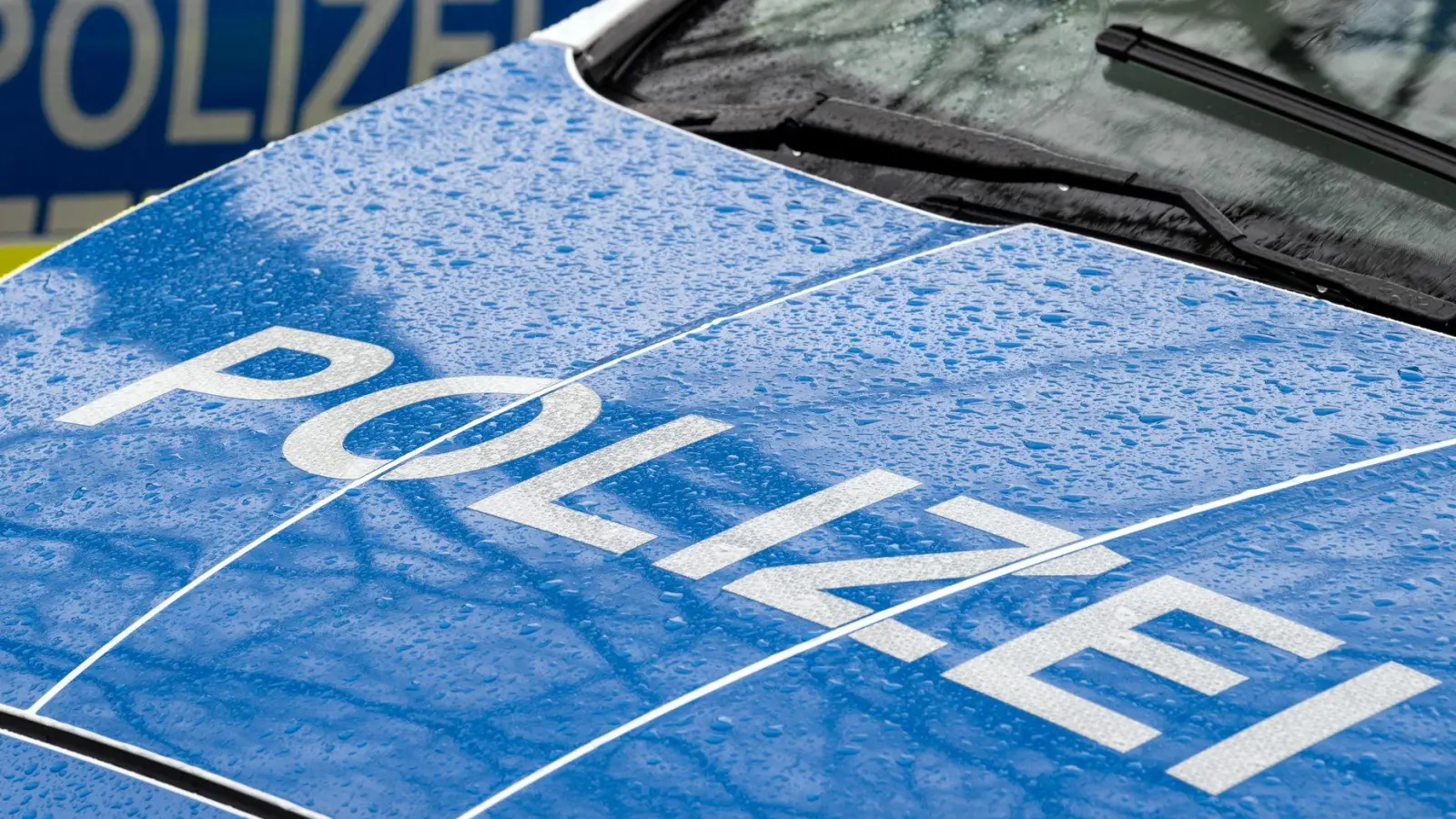 Die Ermittlungen zur Unfallursache dauerten zunächst an. (Symbolbild) (Foto: Soeren Stache/dpa)