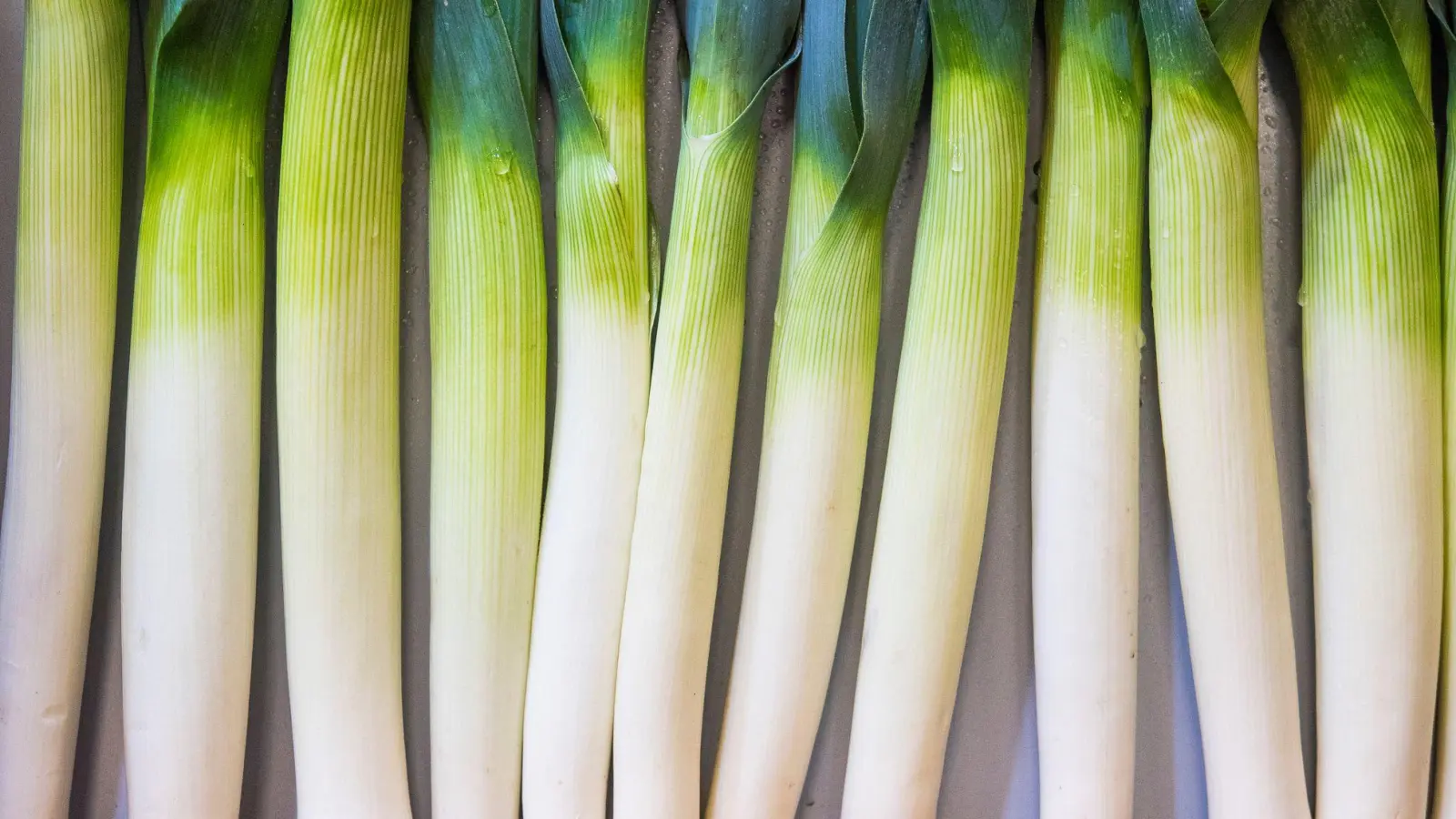 Bei der Frage, wie Lauch wirklich sauber wird, gehen die Meinungen auseinander. (Foto: Robert Günther/dpa-tmn)