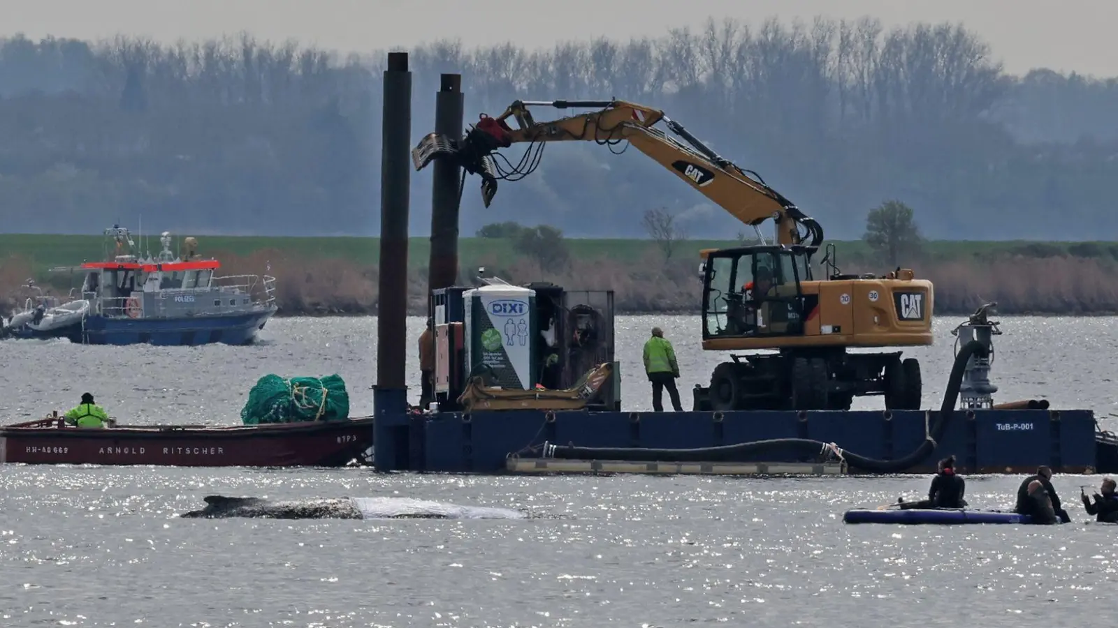Detaillierte Infos zum Fortschritt der Rettungsaktion gibt es von den Initiatoren nicht. (Foto: Bernd Wüstneck/dpa)