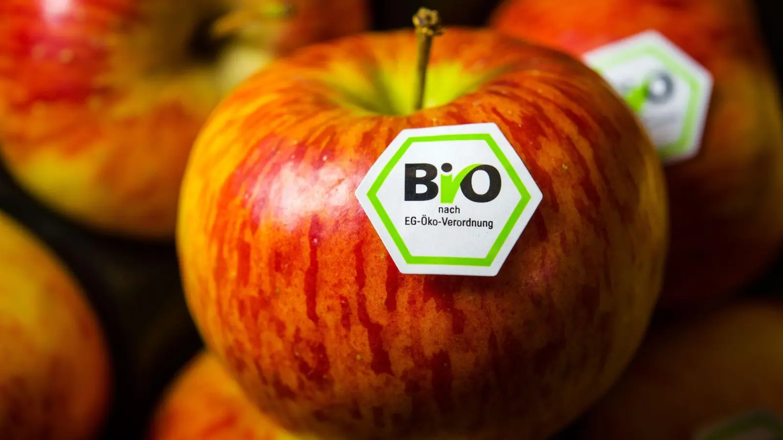 Äpfel mit Bio-Siegel liegen an einem Stand auf der BioFach-Messe. (Foto: David-Wolfgang Ebener/dpa)