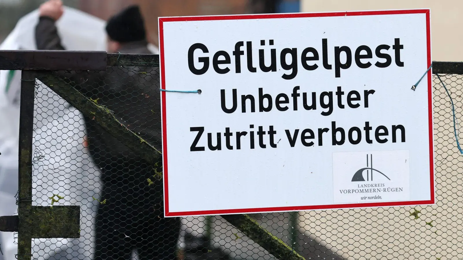 „Geflügelpest Unbefugter Zutritt verboten“ steht auf einem Schild an einem Zaun. (Foto: Bernd Wüstneck/dpa/Symbolbild)