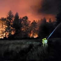 Wegen eines Waldbrandes am Chiemsee wurde die A8 gesperrt. (Foto: Wolfgang Gasser/Kreisfeuerwehrverband Traunstein/dpa)
