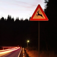 Ein Wildunfall kann selbst bei nicht angepasster Geschwindigkeit als unabwendbar gelten. (Foto: Jan Woitas/dpa/dpa-tmn)