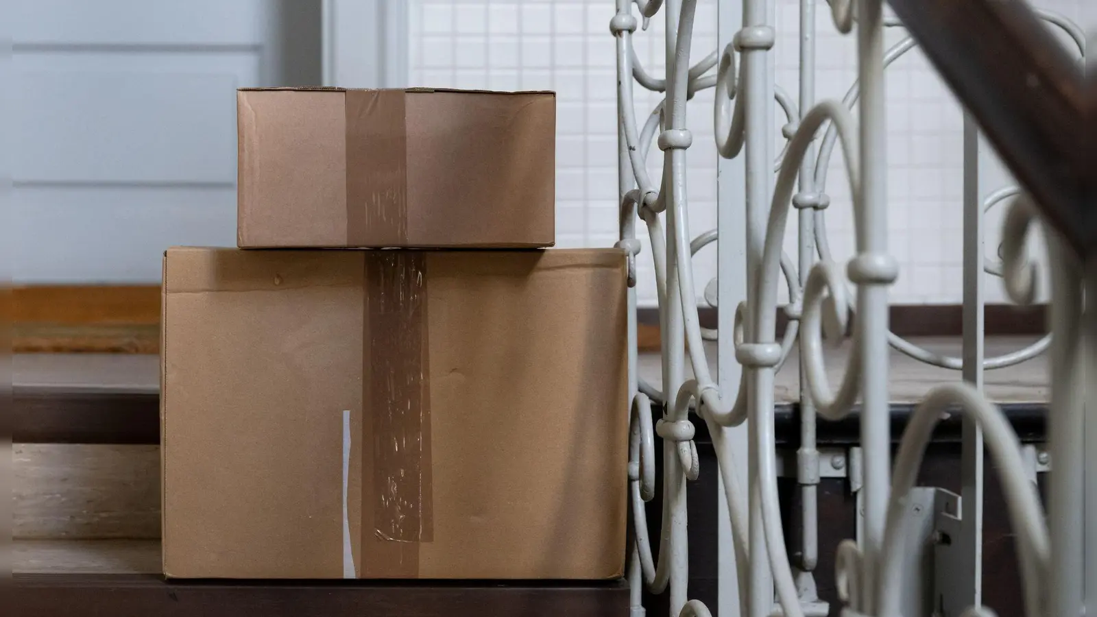 Die Katze hatte sich nach bisherigen Erkenntnissen unbemerkt in den Karton gelegt. (Symbolbild) (Foto: Sven Hoppe/dpa)