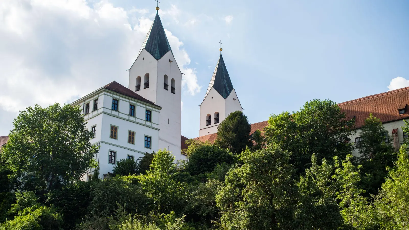 Traditionell wird im Freisinger Dom die Priesterweihe für das Erzbistum München-Freising gefeiert. (Symbolbild) (Foto: Lino Mirgeler/dpa)