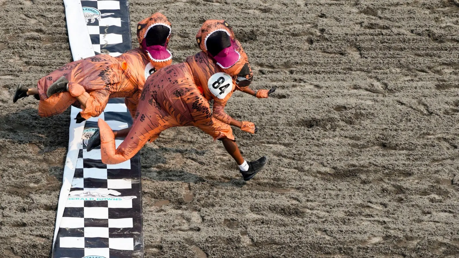 Am Ende gab es ein knappes Finish beim T-Rex World Championship Race in Emerald Downs. (Foto: Lindsey Wasson/AP)