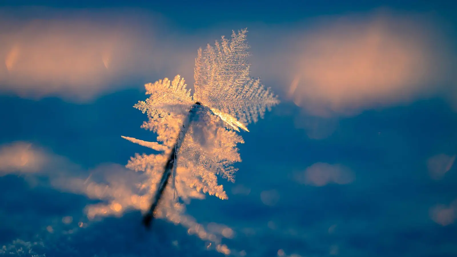 Eisige Temperaturen können für Menschen ohne Wohnung lebensgefährlich sein.  (Foto: Patrick Pleul/dpa)