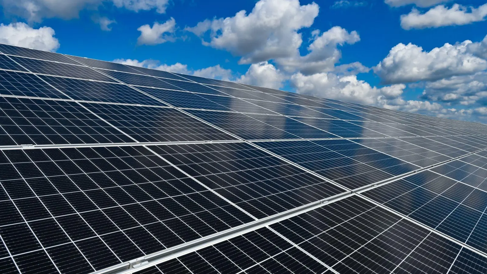 In Unterfranken wird heute ein 125 Hektar großer Solarpark eröffnet. (Foto: Patrick Pleul/dpa-Zentralbild/dpa/Symbolbild)
