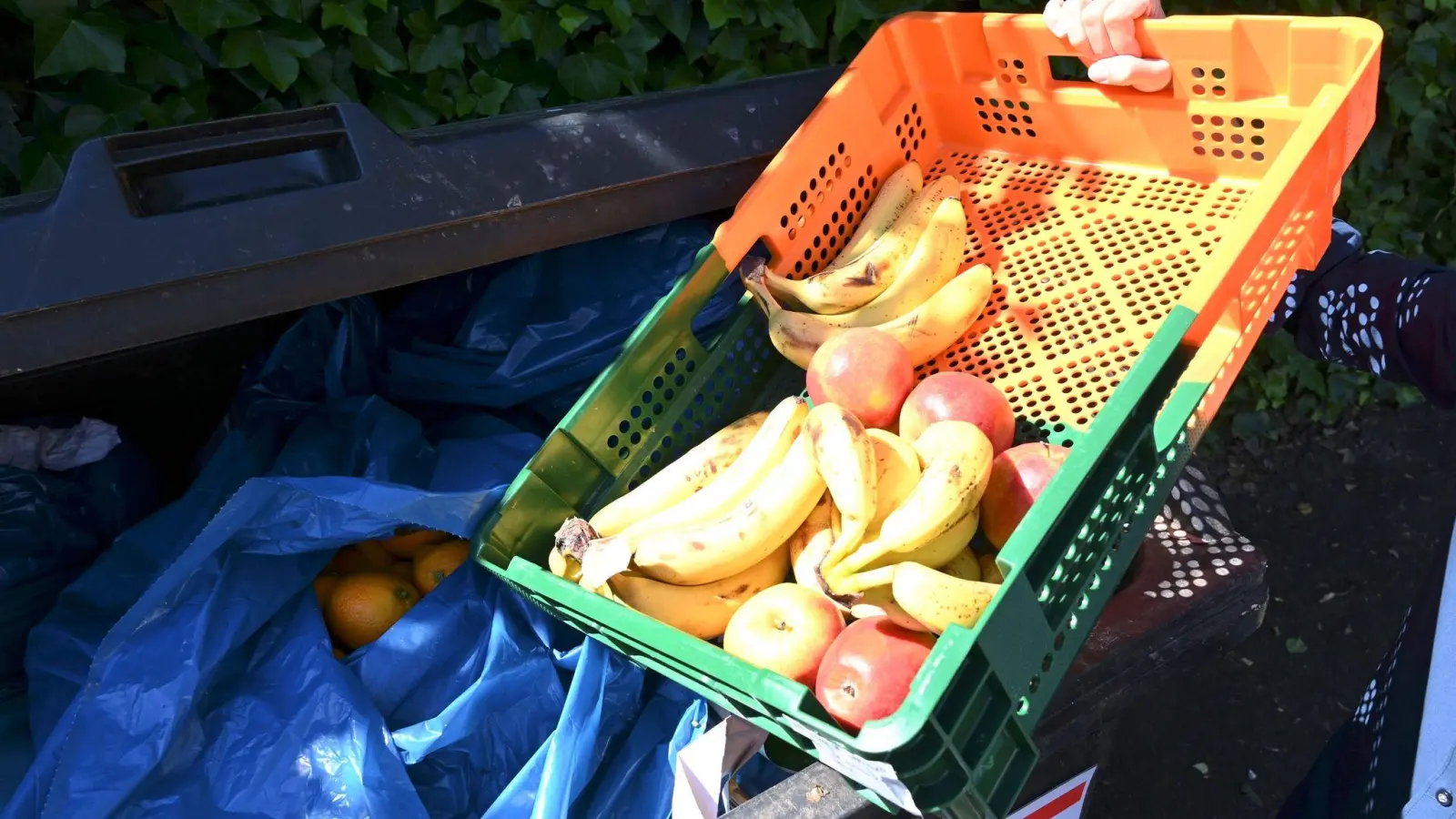 Ein Mitarbeiter eines Supermarktes bringt Obst zu einem Müllcontainer. (Foto: Carmen Jaspersen/dpa)