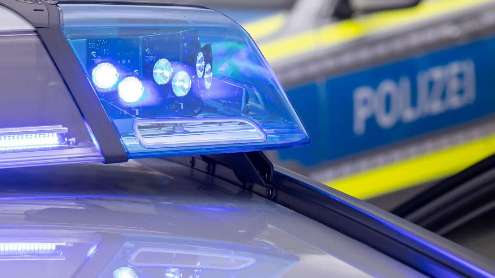 Ein Lebensmittelkontrolleur stellte fest, dass das Fleisch nicht mehr zum Verzehr geeignet sei. (Symbolbild) (Foto: Daniel Karmann/dpa)