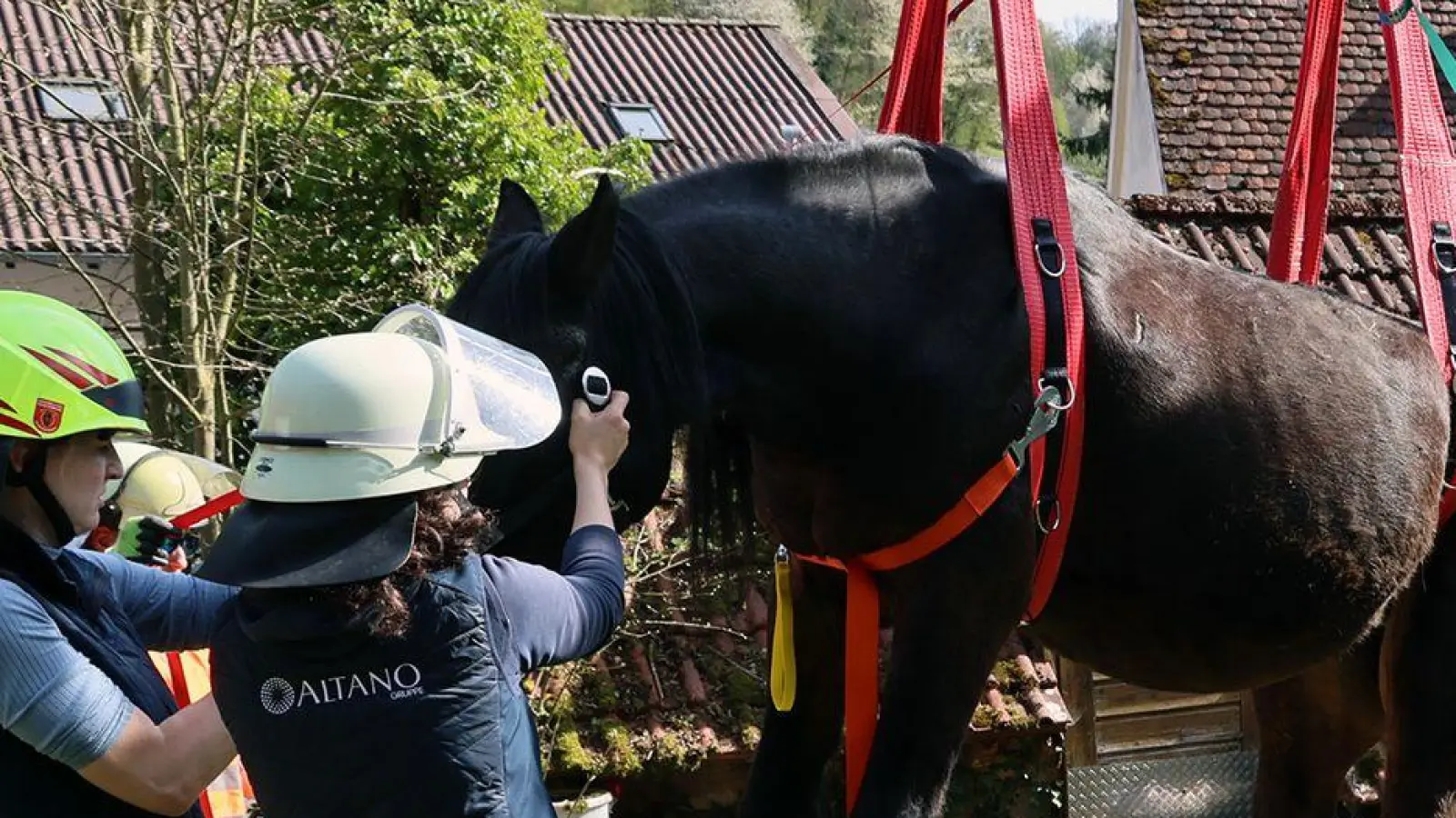 Ein Pferd ist aus einer schmalen Grube gerettet worden. (Handout) (Foto: Ralf Hettler/dpa)