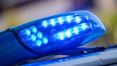 Bei einem Unfall im Landkreis Coburg ging ein Gespann kurzzeitig durch. (Symbolbild) (Foto: Lino Mirgeler/dpa)