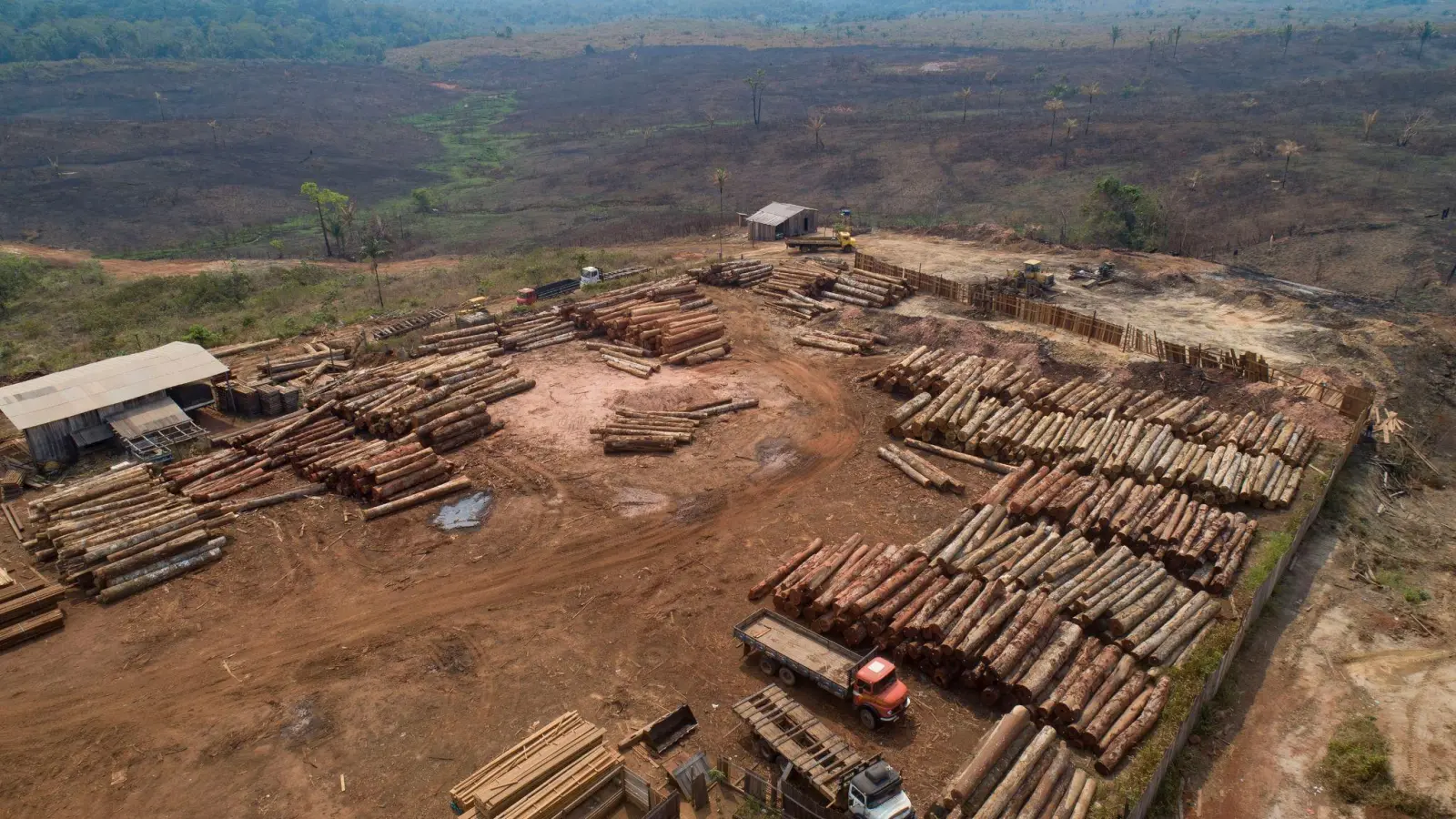 Holzstämme werden in Brasilien in einem Sägewerk gestapelt: Beim Weltnaturgipfel im kanadischen Montreal geht es um Artenschutz und einen grundlegenden Wandel im Wirtschaftssystem. (Foto: Andre Penner/AP/dpa)