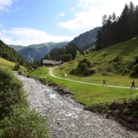 Der Rappenalpbach im Allgäu war durch Baggerarbeiten in einen Kanal verwandelt worden. Durch neue Arbeiten ist er nun wieder im Zustand eines Wildbachs. (Archivbild) (Foto: Karl-Josef Hildenbrand/dpa)