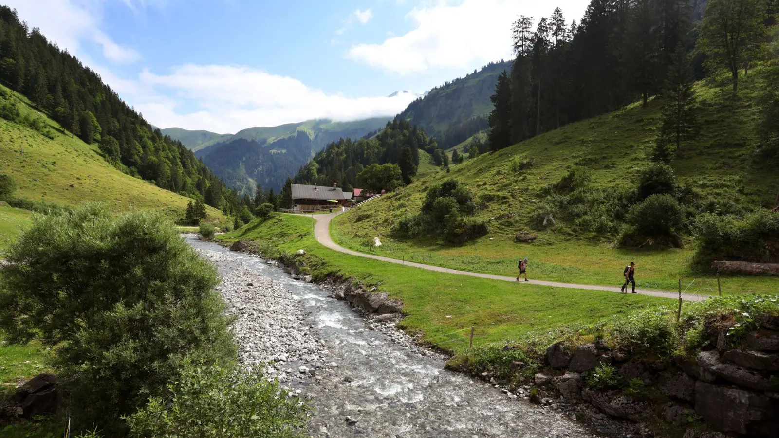 Der Rappenalpbach im Allgäu war durch Baggerarbeiten in einen Kanal verwandelt worden. Durch neue Arbeiten ist er nun wieder im Zustand eines Wildbachs. (Archivbild) (Foto: Karl-Josef Hildenbrand/dpa)