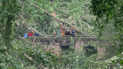 Bei einem Unwetter stürzten zalhreiche Bäume um.  (Foto: Sebastian Kahnert/dpa)