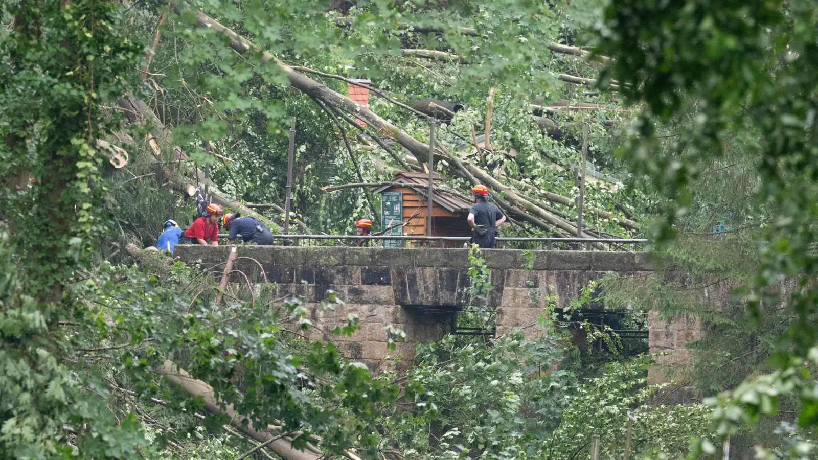 Bei einem Unwetter stürzten zalhreiche Bäume um.  (Foto: Sebastian Kahnert/dpa)