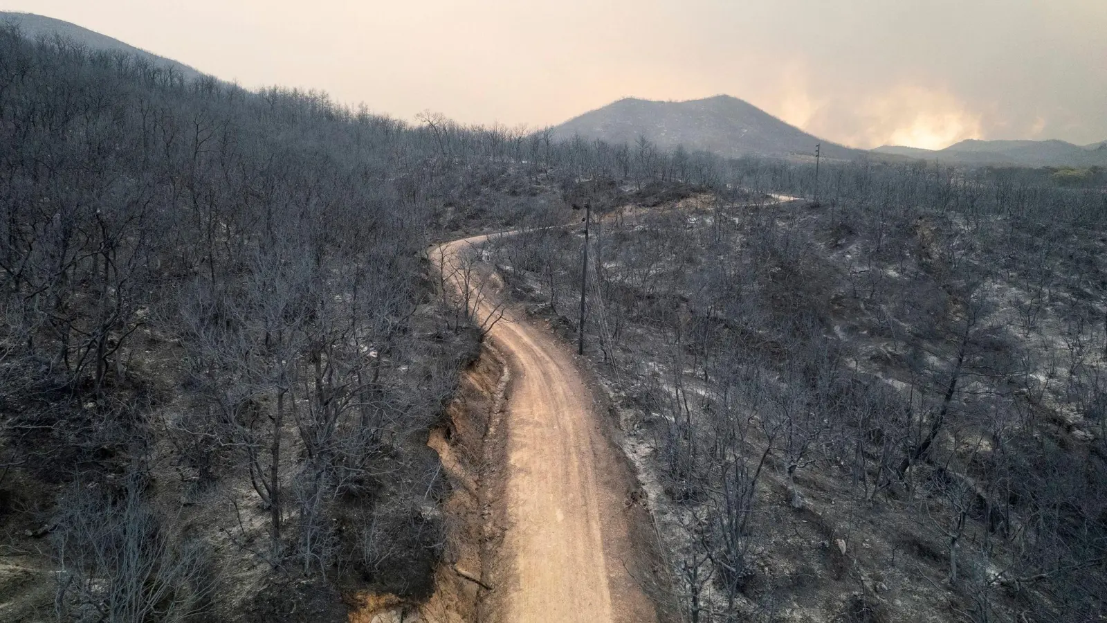 Blick auf einen verbrannten Wald  in der Nähe der Stadt Alexandroupolis in der nordöstlichen Region Evros. (Foto: Achilleas Chiras/AP)