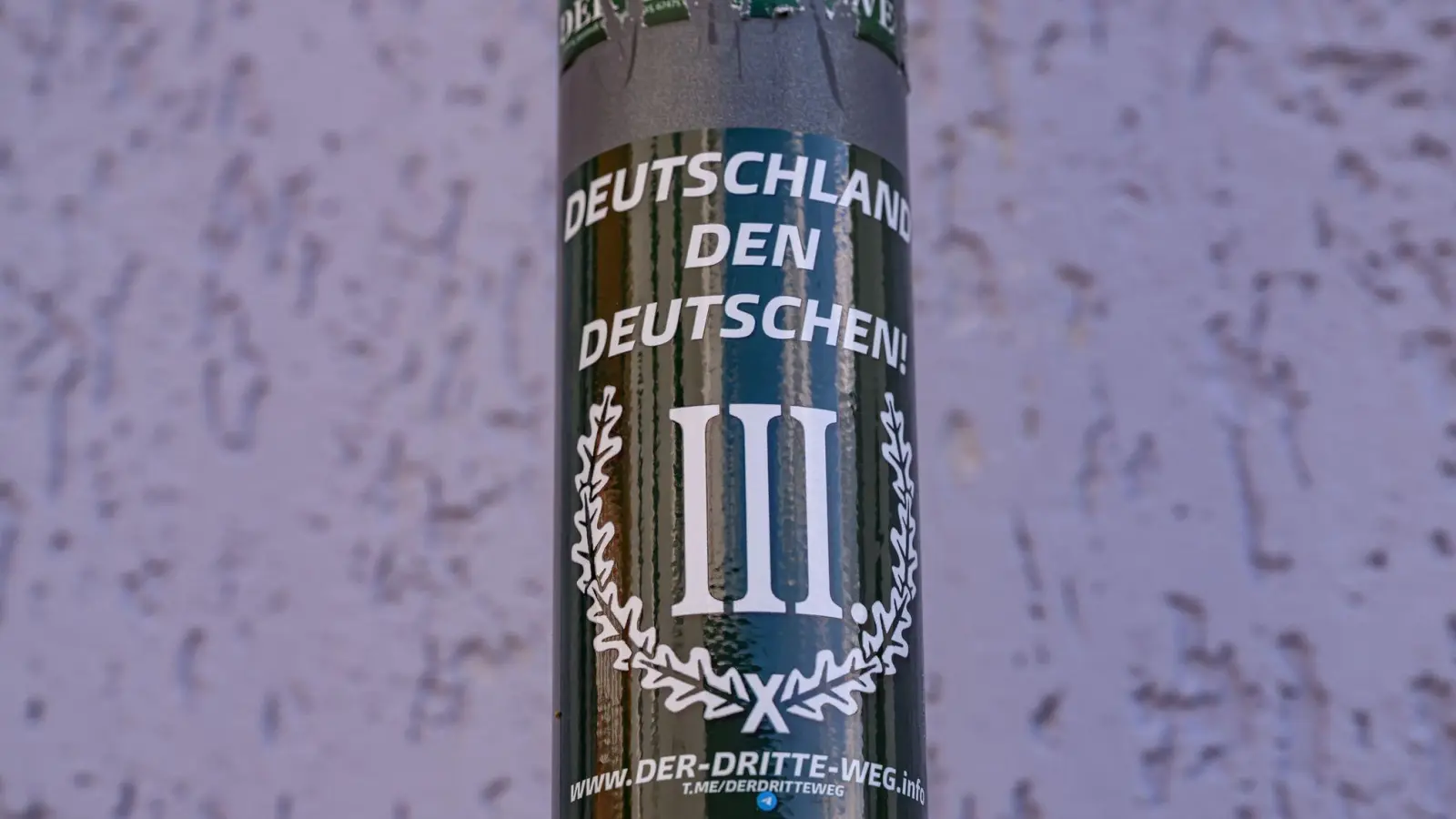 Der sogenannte Dritte Weg ist an diversen Orten in Brandenburg aktiv. (Foto: Patrick Pleul/dpa)