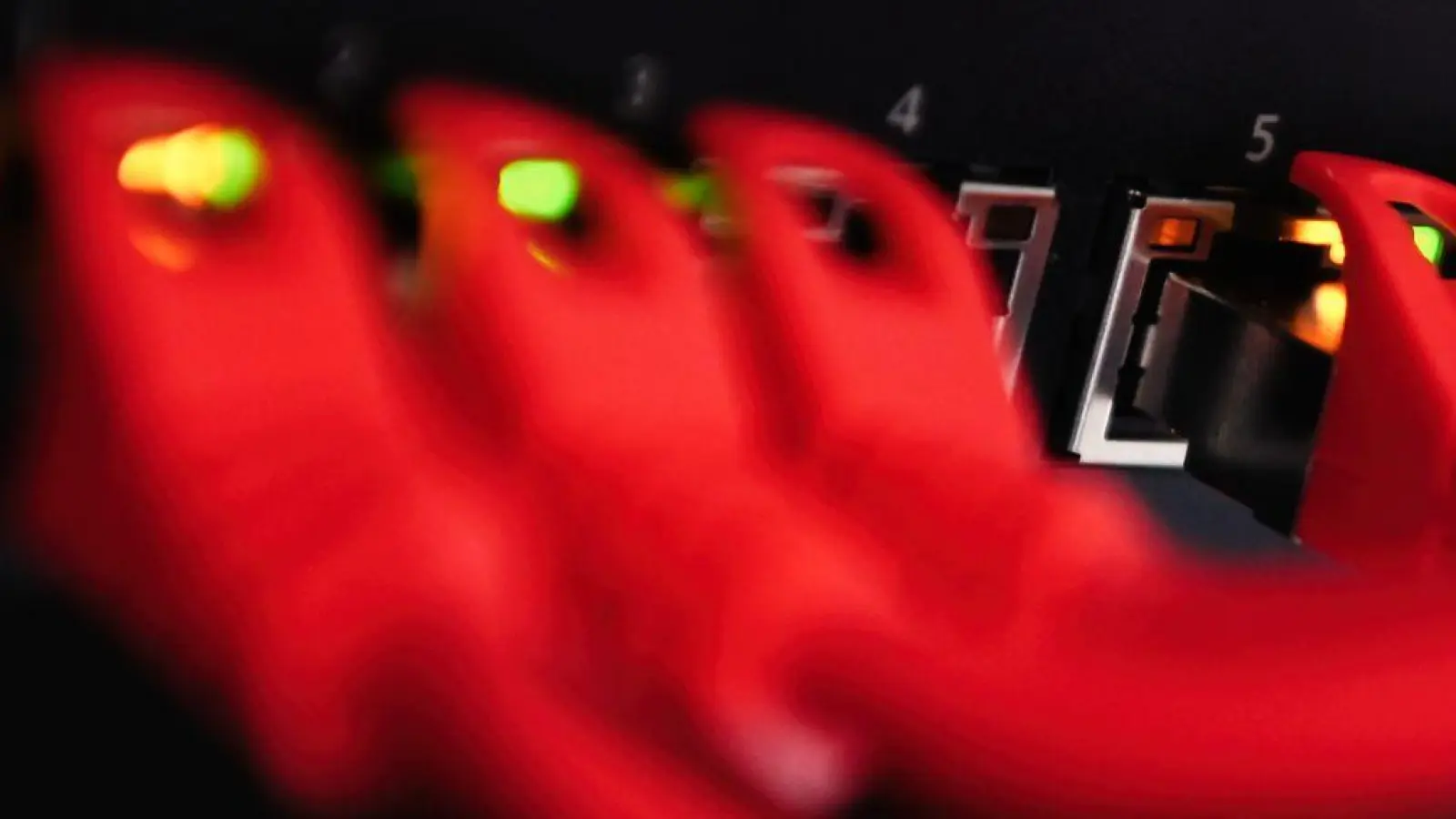 IT-Spezialisten müssen nun die sichergestellten Beweise auswerten. (Symbolbild) (Foto: Nicolas Armer/dpa)