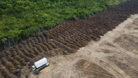 Ein Lastwagen steht in einem abgeholzten Gebiet des Amazonas. Die EU geht mit einem neuen Gesetz gegen die Abholzung der Wälder vor. (Foto: Fernando Souza/ZUMA Press Wire/dpa)