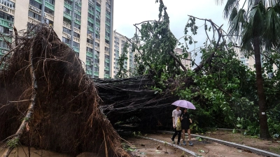 In Hongkong stürzten Hunderte Bäume um. (Foto: Chan Long Hei/AP/dpa)
