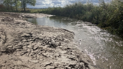 Eine Lehmbuhne im Bett der Altmühl: Diese Methode der Gewässer-Gestaltung soll die Fließgeschwindigkeit an geeigneten Stellen erhöhen und die Eigendynamik des langsamsten Flusses in Bayern anregen. (Foto: WWA Ansbach)