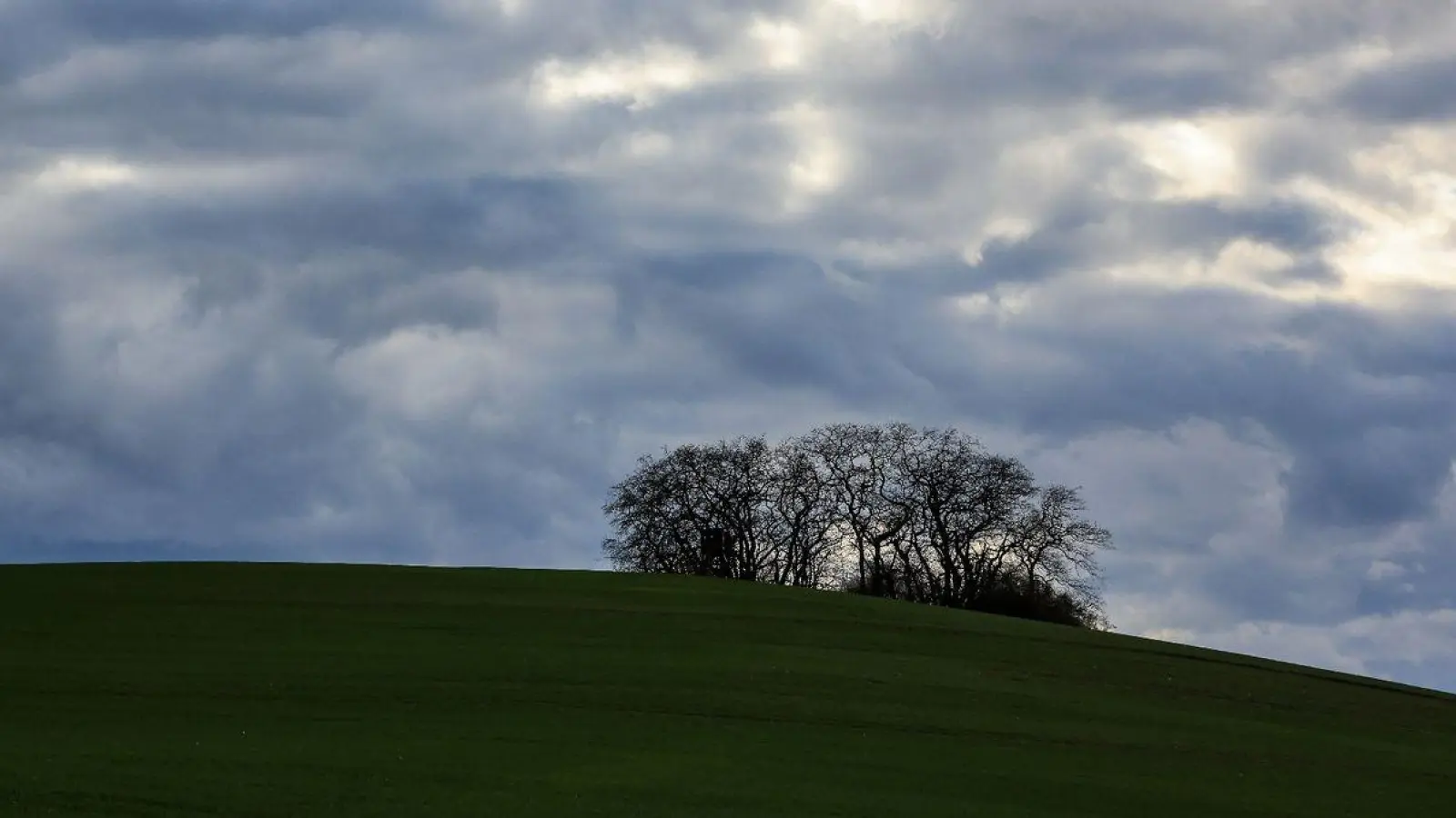 Wolken ziehen bei viel Wind über einen Hügel bei Peterberg in Sachsen-Anhalt. „Der Beginn des Februars ist eine Jahreszeit, an dem der Winter gerne seinen Höhepunkt erreicht. Davon ist in diesem Jahr allerdings nichts zu sehen“, teilt der DWD mit. (Foto: Jan Woitas/dpa)