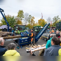 Beim Holztag in Scheinfeld ist jedes Jahr viel geboten. (Archivbild: Mirko Fryska)
