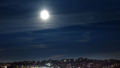 Den Fahrersitz eines geparkten Pkw nutzte ein Betrunkener in der Nacht auf Sonntag als Schlafplatz.  (Foto: Jim Albright)
