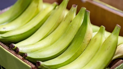 Vielseitige Zutat: Kochbananen sind ein Grundnahrungsmittel in tropischen Regionen und werden ähnlich wie Kartoffeln zubereitet. (Foto: Fabian Sommer/dpa/dpa-tmn)