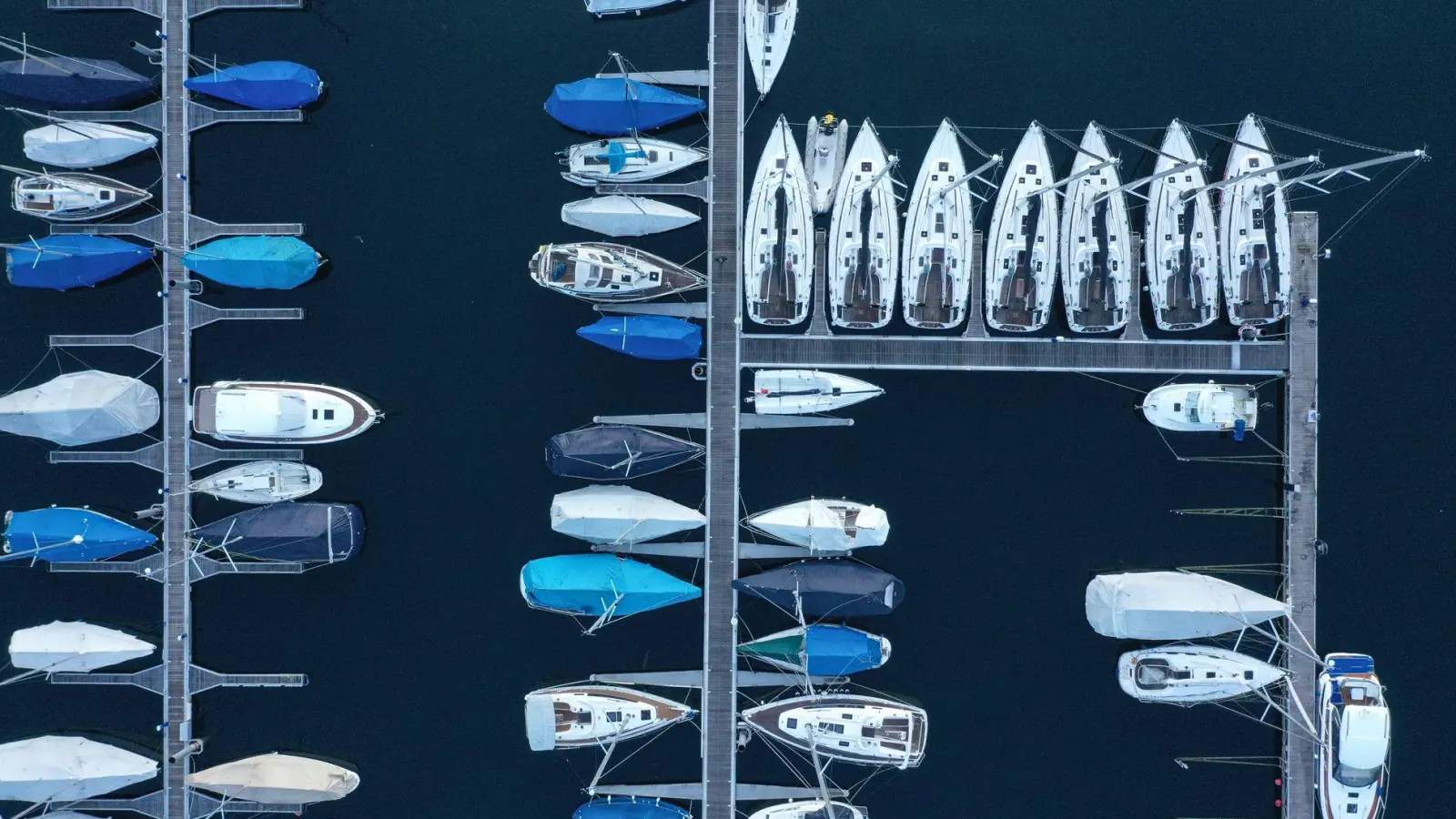 Am Bodensee wird zur Eindämmung der Quagga-Muschel eine Bootsreinigungspflicht diskutiert. (Symbolbild)  (Foto: Felix Kästle/dpa)