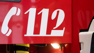 Mehrere Schweine starben beim Brand am frühen Morgen. (Symbolbild) (Foto: Niklas Treppner/dpa)